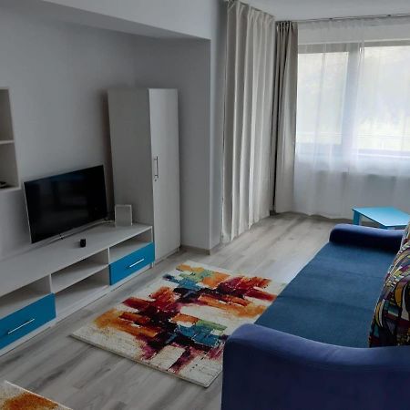Apartamento Dorin Colina Marei Sinaia Exterior foto