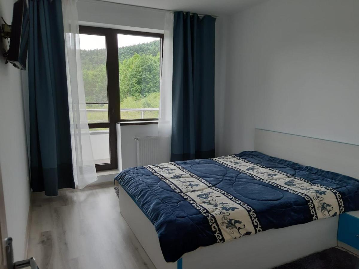 Apartamento Dorin Colina Marei Sinaia Exterior foto